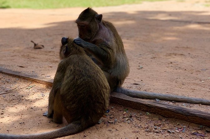 Explore Angkor Wat and Magical Temple VIP Private Tour - Frequently Asked Questions