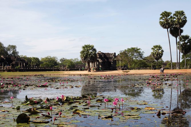 Explore Angkor Wat and Ta Phrom in Depth - Tips