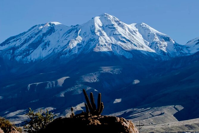Explore the Majesty of the Colca Canyon in 2 Days and 1 Night. - The Sum Up