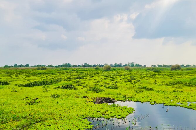 Explore U Minh Thuong Forests - Frequently Asked Questions