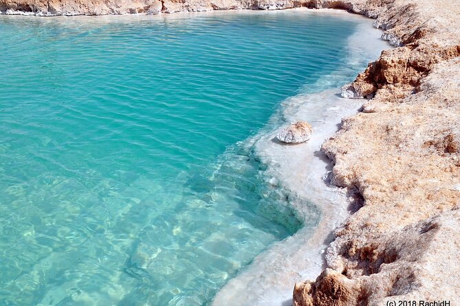 Exploring the Enchanting Siwa Oasis From Cairo - Cultural Immersion in Siwa