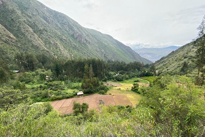 Family Trek With Llamas (Full Day) - Availability and Reservation