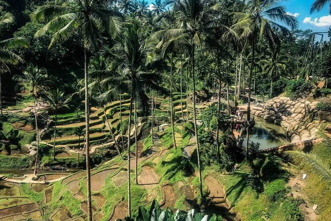 Famous Ubud Villlage & Dance With Rice Terrace & Waterfall Visit - What to Expect