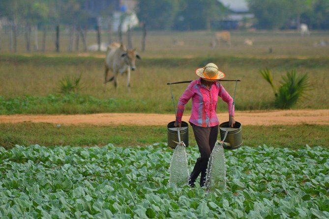 Farm Cooking Class in Siem Reap Countryside - Sample Menu Highlights