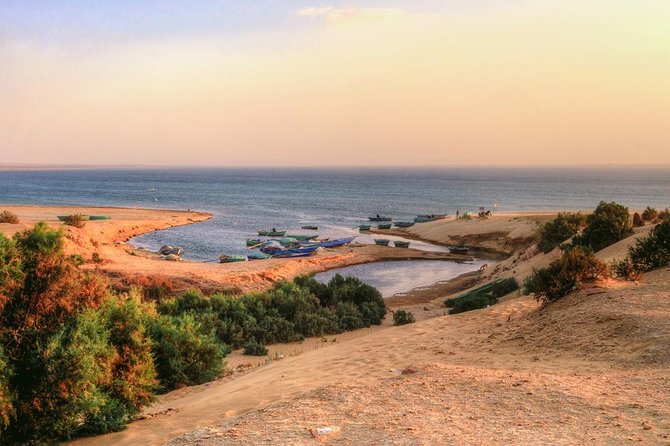 Fayoum Oasis and Waterfalls of Wadi El-Rayan From Cairo - Price and Booking