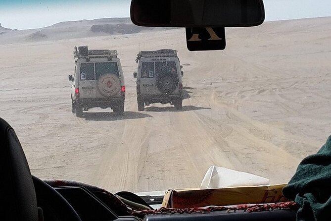 Fayoum Oasis:4x4 Safari,Wadi of the Whales,waterfalls,Sandsurfing - Booking Information and Pricing