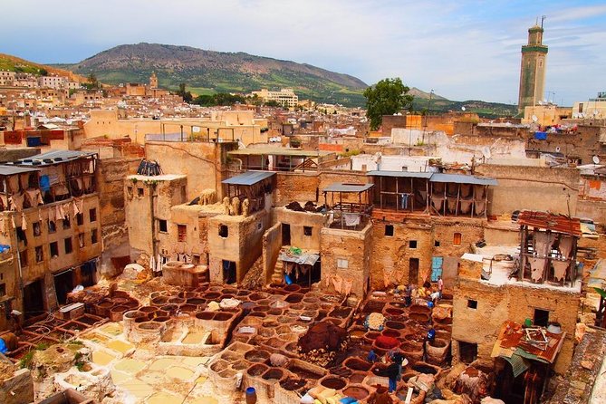 Fes - One Day In-Depth Trip (English/French/Chinese/Italian Guides) - Accessibility Information