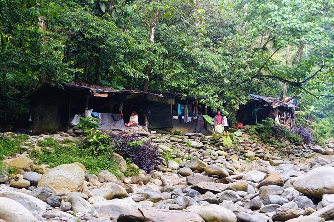 Four Days Orangutans Adventure in Gunung Leuser - Physical Fitness Requirement and Restrictions