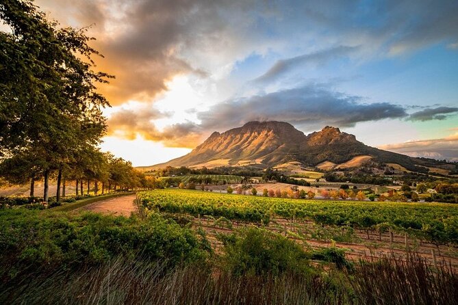 Franschhoek Wine Tram & Stellenbosch Town Full Day Tour - Pricing Information
