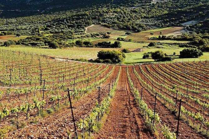 From Argostoli: Private Wine Tasting & Vineyard Tour - Booking Information