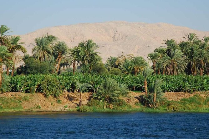 From Aswan Enjoy a Full Day Felucca Sailing From the Morning Till Sunset - Booking and Pricing
