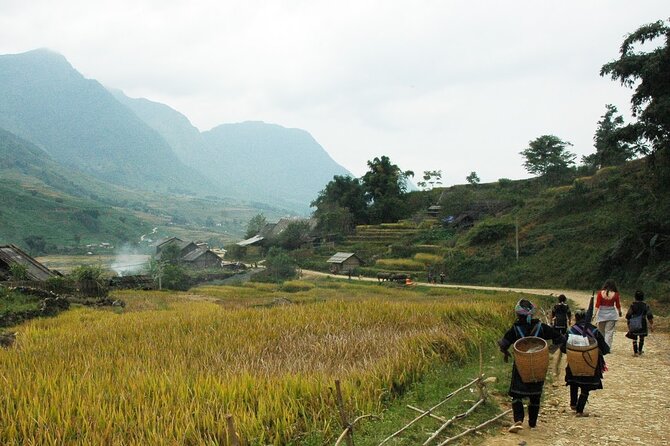 From Hanoi: 2-Day Sa Pa Homestay Trekking Tour by Cabin Bus - Meal Plan