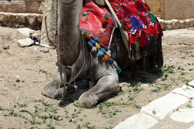 From Hurghada to Pyramids of Giza, Egyptian Museum, Lunch & Guide - Contact Requirements