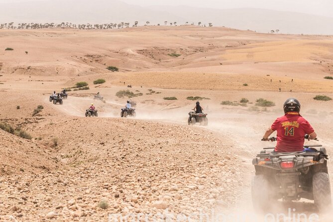 From Marrakech: Camel Ride and Quad Biking Tour - Booking Options