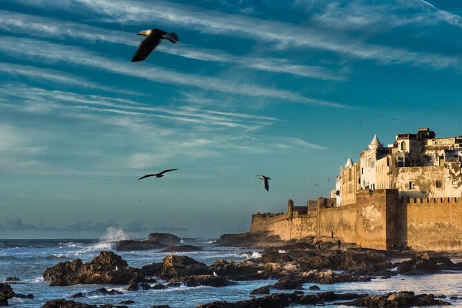 From Marrakech: Day Trip to Essaouira - Booking Process