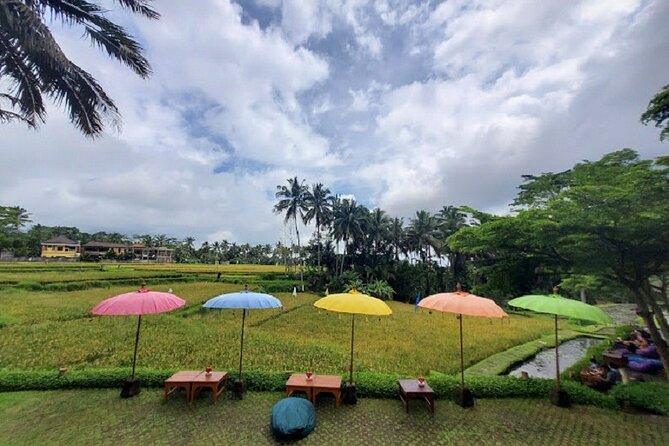 From Ubud Electric Bike Bali Countryside Ubud Tegalalang - Frequently Asked Questions