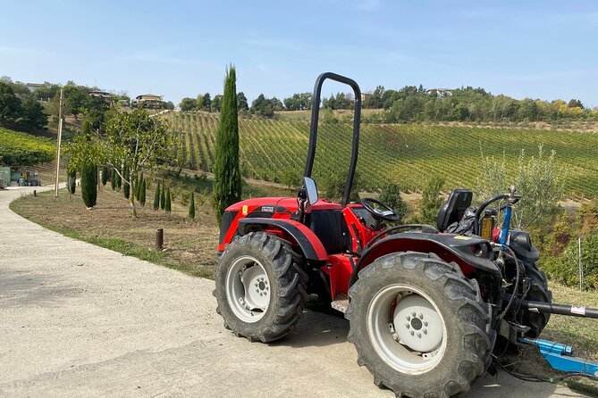 From Verona: Modena Food & Wine Full Day Trip With Ferrari Museum - The Sum Up