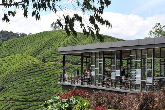 Full-Day Cameron Highlands Tour - Booking Information