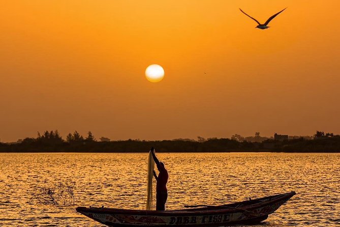Full Day: City Tour of Dakar and Gorée Island - Additional Information
