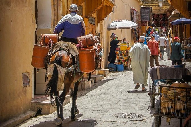 Full Day Fez Medina Working Tours (Private Tour Guide) - Booking Details