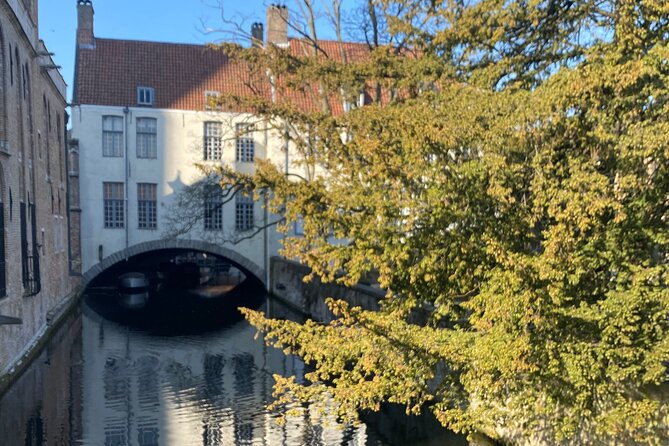 Full Day Guided Tour to Bruges by Train From Brussels - Accessibility Considerations