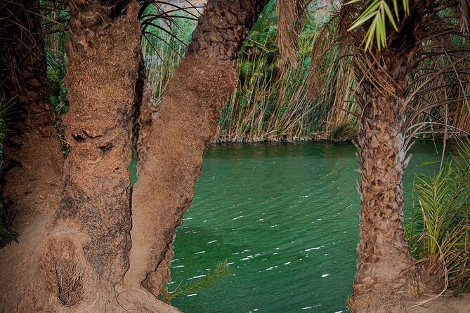 Full-Day Guided Tour to Preveli Tropical Beach and Palm Forest - Weather and Cancellation Policy