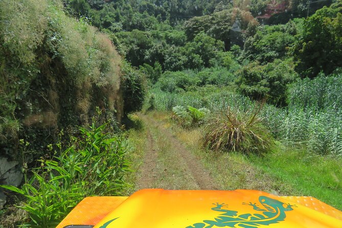 Full Day Guided Tour to The Charms of Northeast Madeira - Cancellation Policy