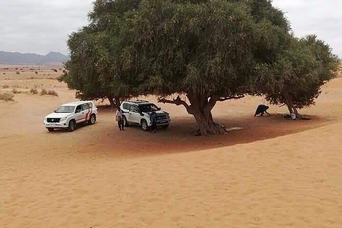 Full Day Jeep Tour to Agadirs Small Desert Including Lunch - Frequently Asked Questions