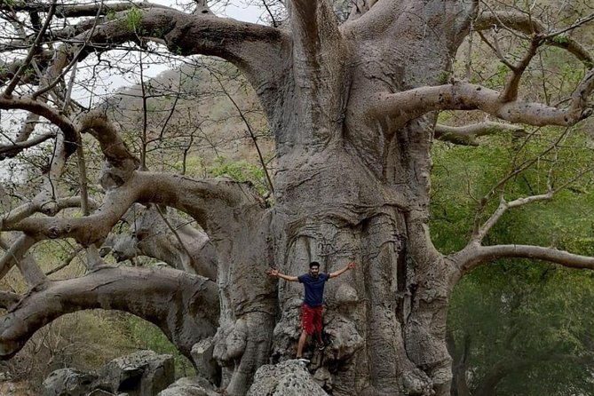 Full Day Private Guided Hiking Tour of Salalah