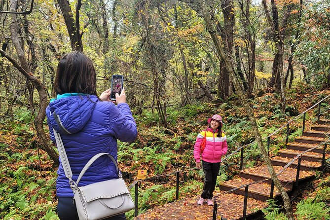Full-Day Private Jumbo Taxi Tour - East of Jeju Island (Unesco) - Contact Details