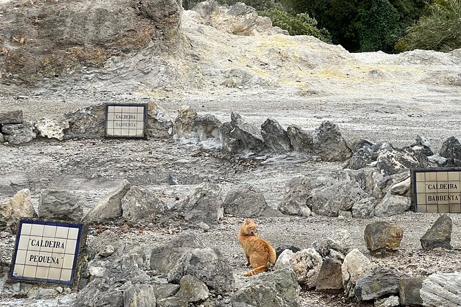 Full Day Private Tour in Furnas Valley Breath of the Volcano - Additional Information