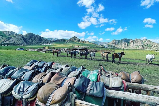 Full Day Private Tour in Terelj National Park With Horse Riding - Operator and Directions