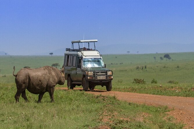 Full-Day Safari Tour to Ngorongoro Crater From Arusha - Accessibility Information