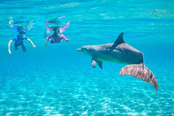 Full Day Samaday Snorkelling in Marsa Alam - Reservation Flexibility