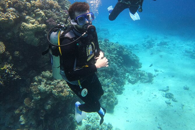 Full Day Scupa Diving and Snorkeling Sea Trip Activity - Hurghada - Reviews and Ratings