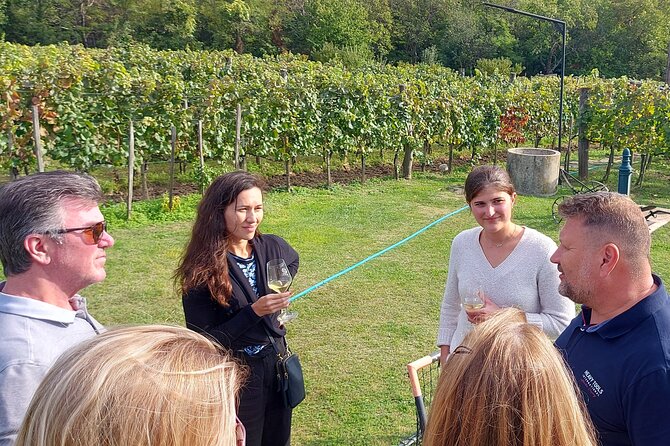 Full-Day Small Group Lake Balaton Wine Tour - What to Expect