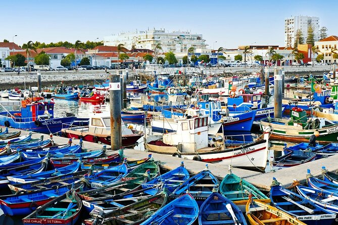 Full Day South Lisbon Coast and Arrábida Natural Park Tour - How to Reserve