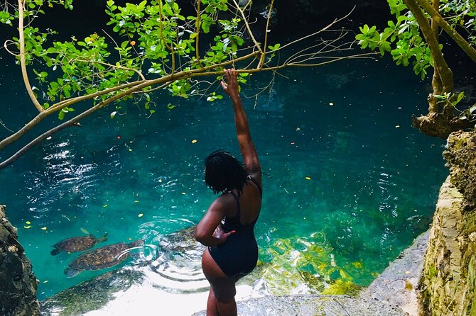 Full - Day Tour Mnemba Island With Baraka Aquarium - What To Expect and Accessibility