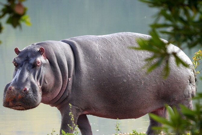 Full Day Tour To Arusha National Park Canoeing Safari - Safety Guidelines
