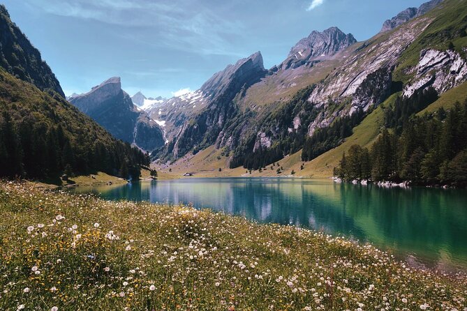 Full Day Tour to Zürich Including Rhine Falls - Important Information