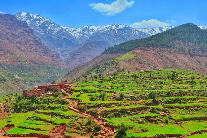 Full-Day Trip Berber Villages and Waterfalls From Marrakech - Meeting Time