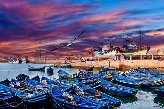 Full Day Trip From Marrakech To Essaouira Mogador - Pricing Information