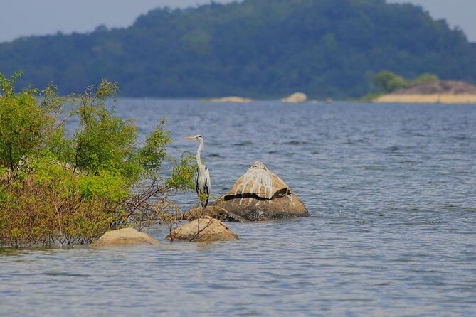 Gal Oya Safari and Vedda Safari Day Trip From Pasikuda/Kalkuda - Important Reminders for Travelers