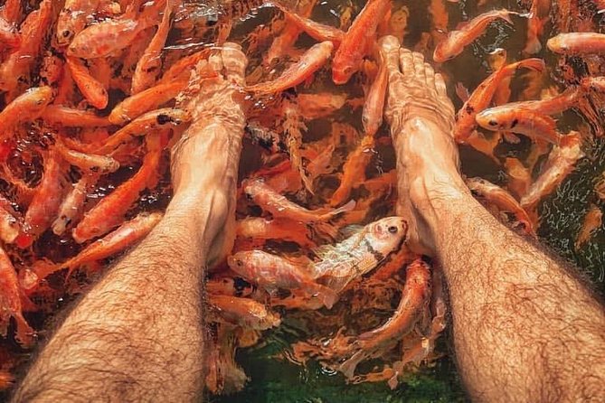 Galle Day Trip With Madu River Safari From Colombo - Visit Historical Sites