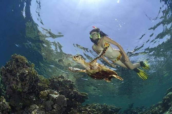 Giftun Island Snorkeling Day Trip From El Gouna - Frequently Asked Questions