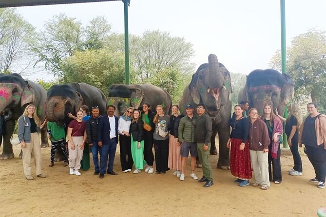 Golden Triangle Tour With Overnight at Rajasthani Village - Cultural Experience Highlights