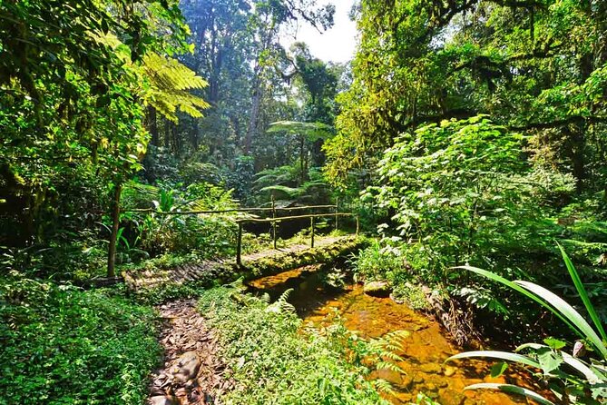 Gorilla & Rwenzori Expedition in Uganda - 15 Days - Pickup and Transportation