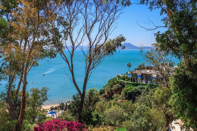 Guided Carthage and Sidi Bou Said Half Day Tour With Lunch - Booking and Cancellation Policy