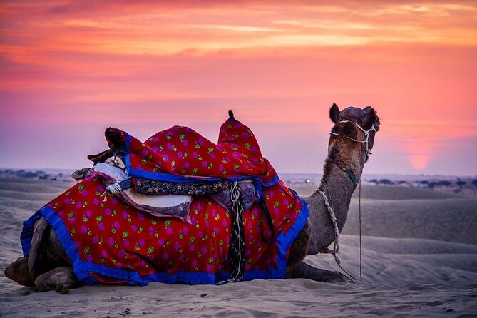 Guided Jaisalmer City Tour With Drop Off at Jaipur - Cancellation Policy