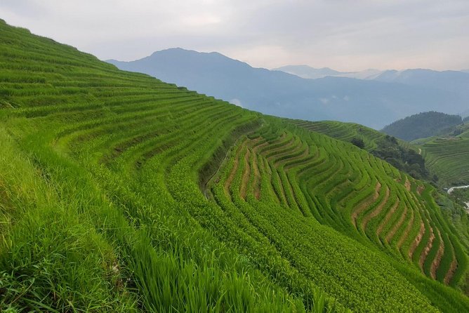 Guilin Longji Rice Terraces and Yangshuo Liusanjie Light Show Day Tour - Booking and Reservation